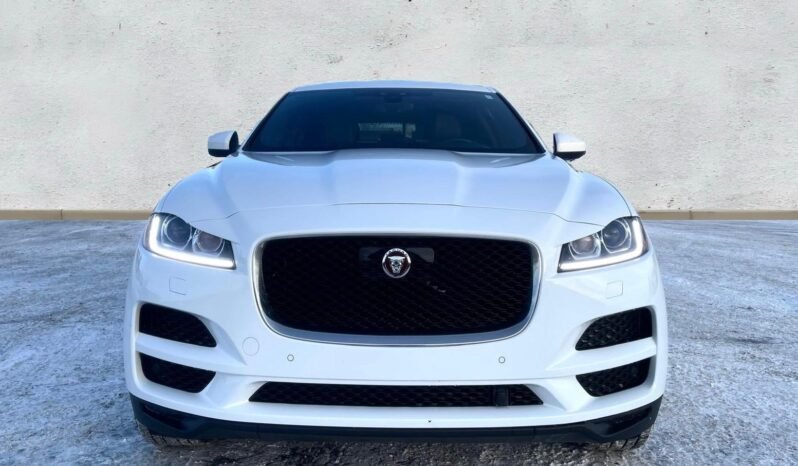 
								2019 Jaguar F-Pace 2.5T AWD SUV full									