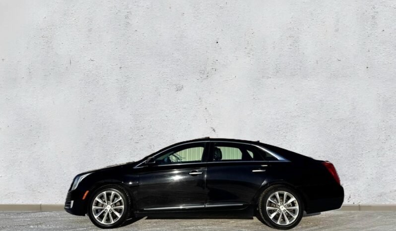 
								2013 Cadillac XTS Premium AWD Sedan full									