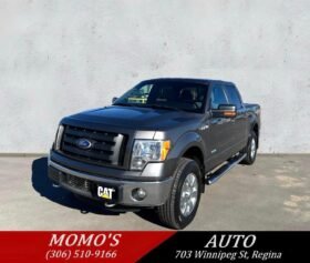 2013 Ford F-150 XTR Crewcab 4×4
