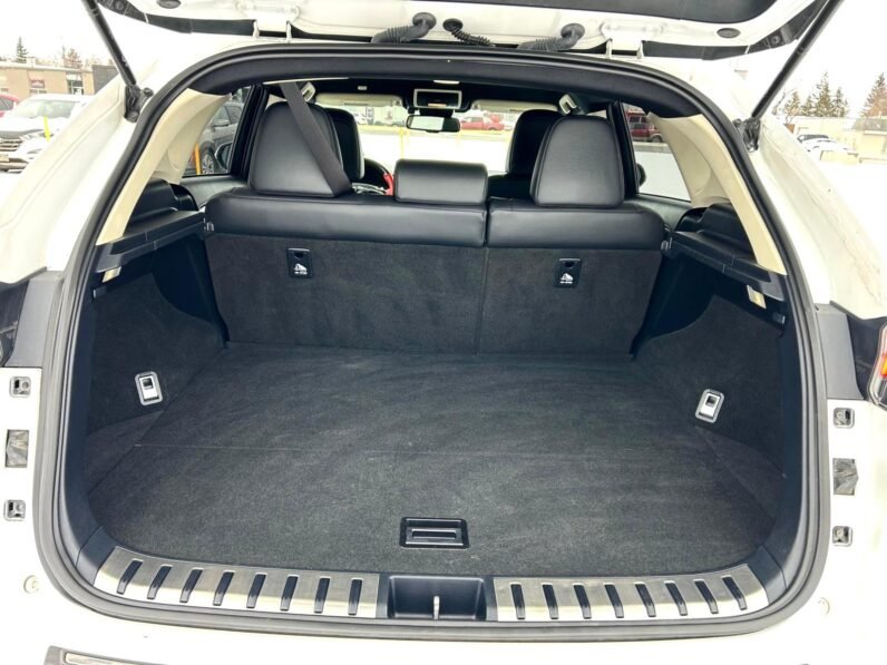 
								2020 Lexus NX300 AWD SUV full									