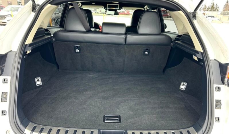 
								2020 Lexus NX300 AWD SUV full									