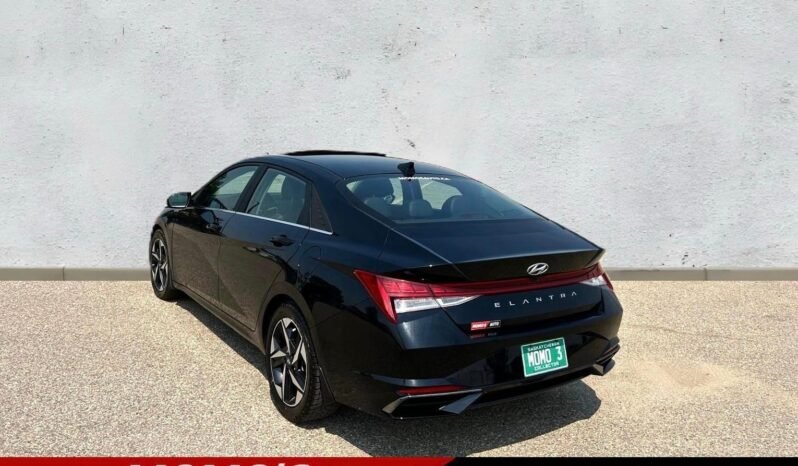 
								2023 Hyundai Elantra Luxury Sedan full									