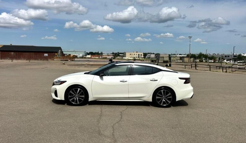 
								2019 Nissan Maxima SL Sedan full									