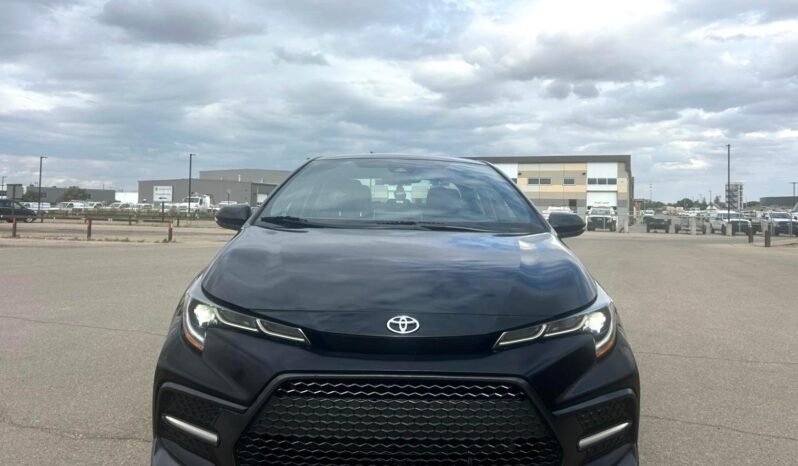 
								2020 Toyota Corolla SE Sedan full									