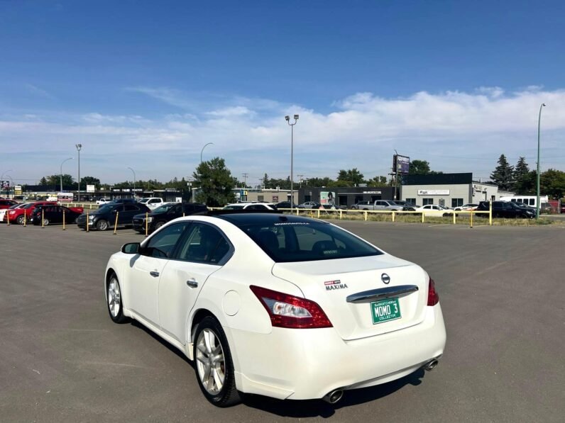 
								2011 Nissan Maxima Premium Sedan full									
