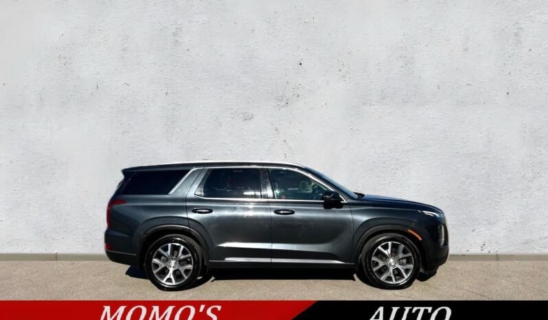 
								2020 Hyundai Palisade Preferred AWD SUV full									